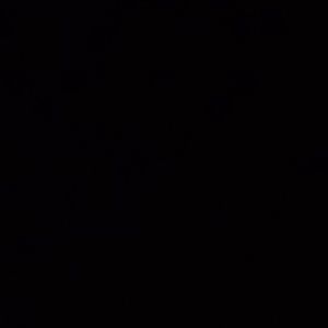 Meet your Posher, Irving